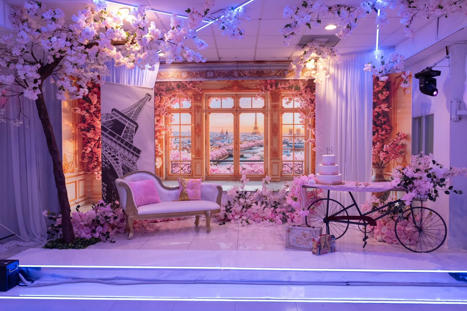 Noche en París: proyección en el salón de Diamond